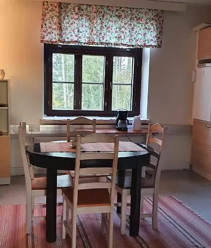 بيت شباب Ainola