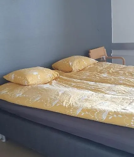 بيت شباب Ainola *