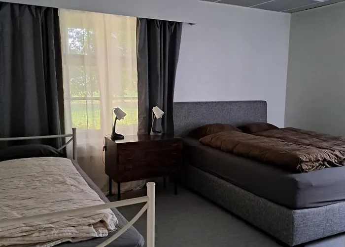 بيت شباب Ainola